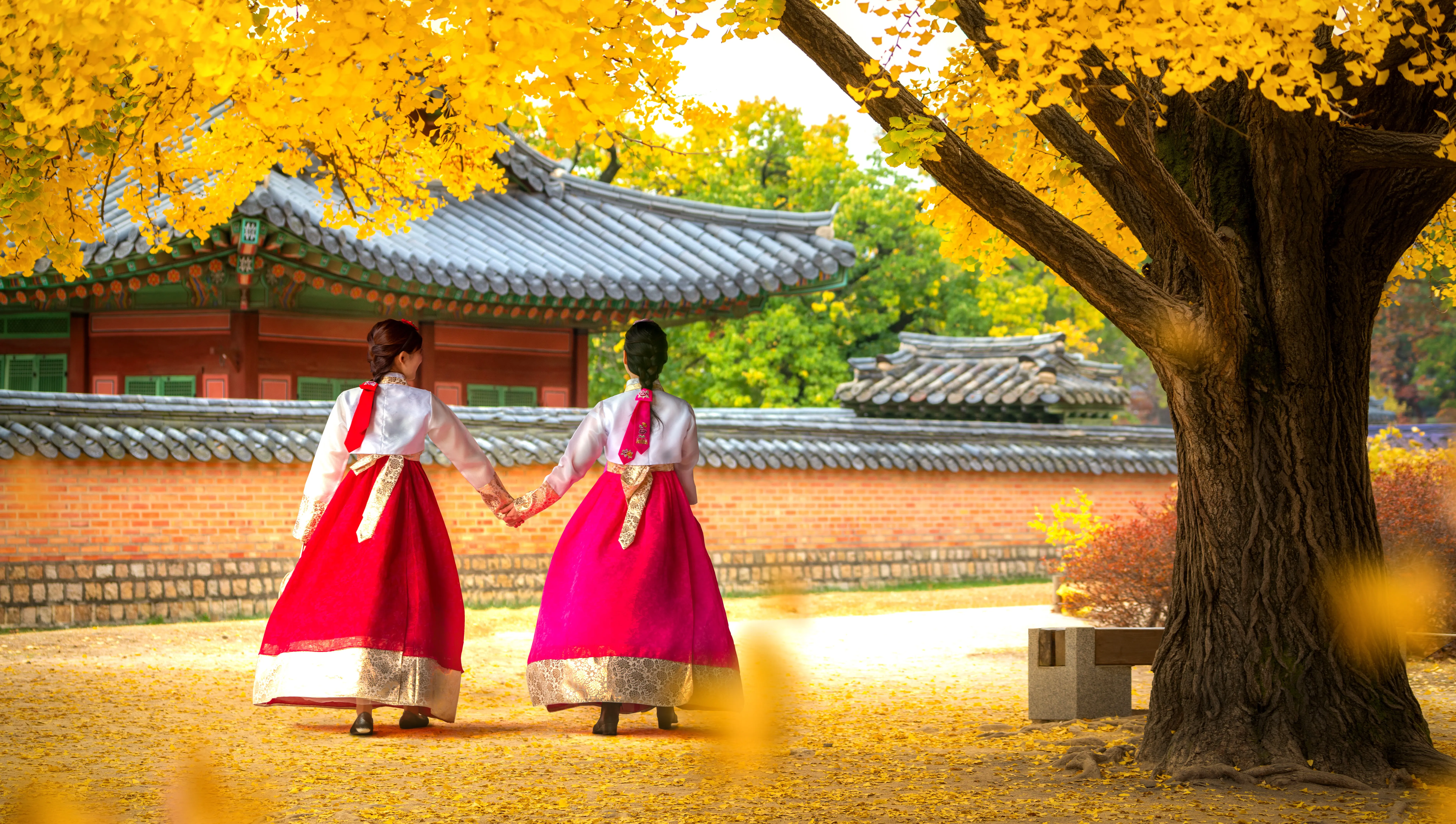 Group Tour | Autumn Colors 2026 | Seoul – Andong – Gyeongju – Ulsan – Busan – Suncheon – Boseong – Jeonju – Buyeo – Tokyo (optional) | 14 or 21 days (From November 1 to 14 or 21)