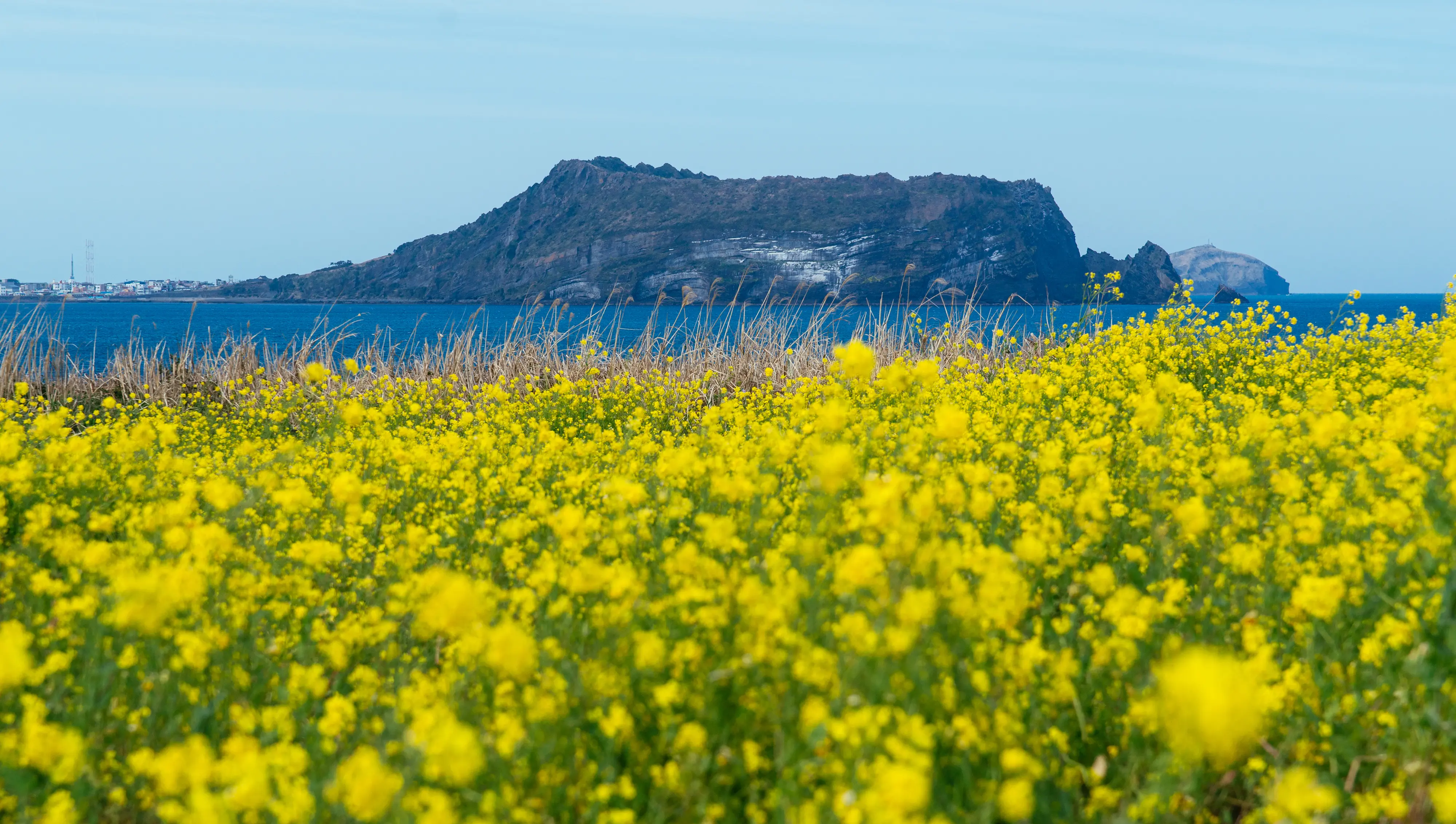 Private Tour | Icons of Korea | Seoul – Gyeongju – Busan – Jeju | 13 days